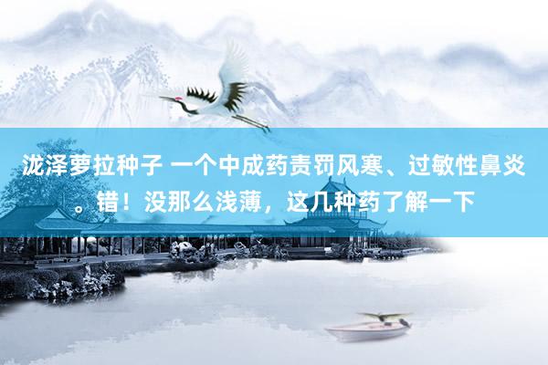 泷泽萝拉种子 一个中成药责罚风寒、过敏性鼻炎。错！没那么浅薄，这几种药了解一下