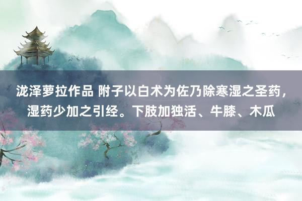 泷泽萝拉作品 附子以白术为佐乃除寒湿之圣药，湿药少加之引经。下肢加独活、牛膝、木瓜