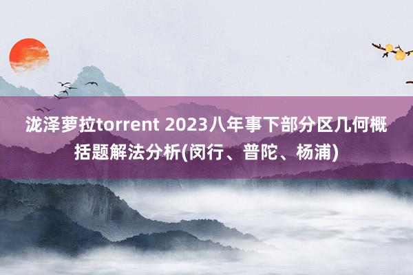 泷泽萝拉torrent 2023八年事下部分区几何概括题解法分析(闵行、普陀、杨浦)