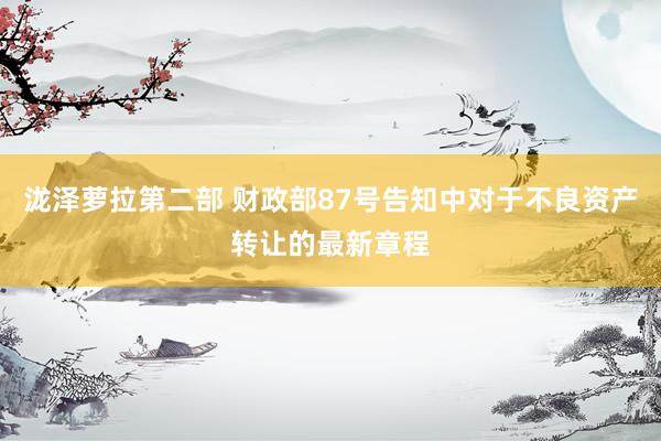 泷泽萝拉第二部 财政部87号告知中对于不良资产转让的最新章程