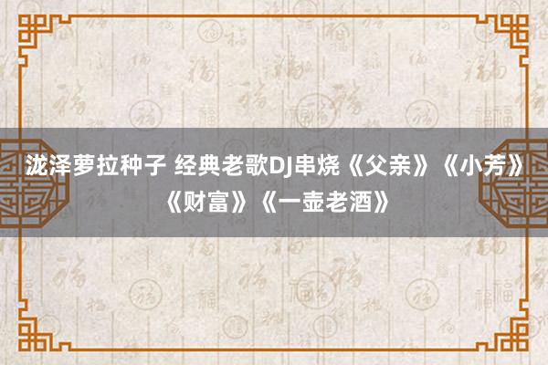 泷泽萝拉种子 经典老歌DJ串烧《父亲》《小芳》《财富》《一壶老酒》
