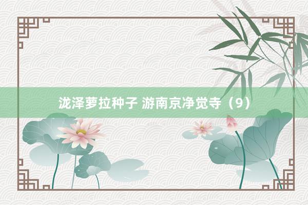 泷泽萝拉种子 游南京净觉寺（9）