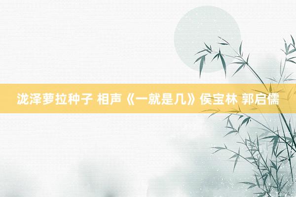 泷泽萝拉种子 相声《一就是几》侯宝林 郭启儒
