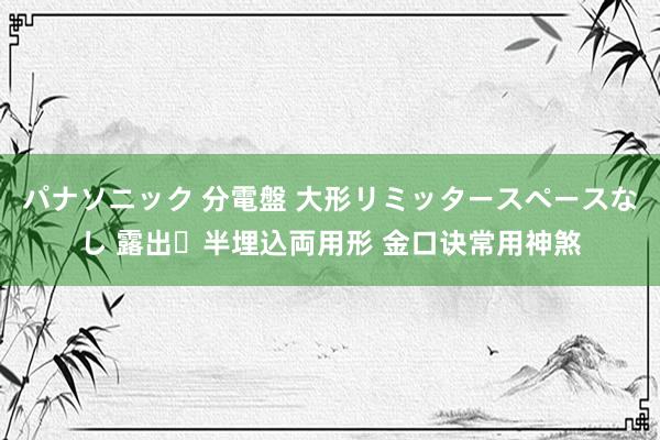 パナソニック 分電盤 大形リミッタースペースなし 露出・半埋込両用形 金口诀常用神煞
